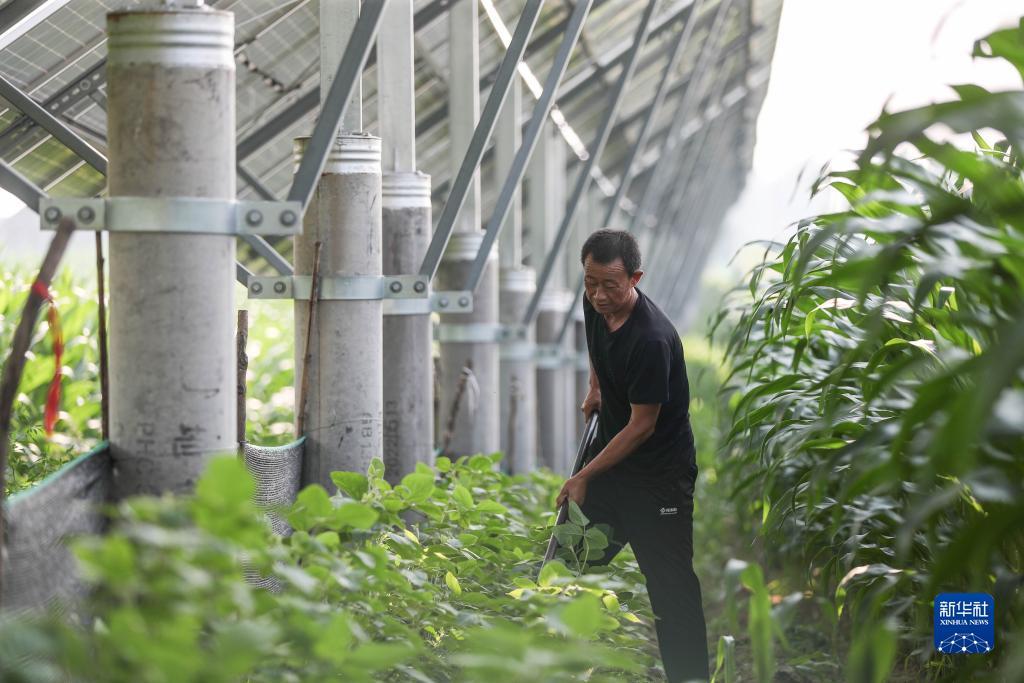 最新免费菠菜论坛