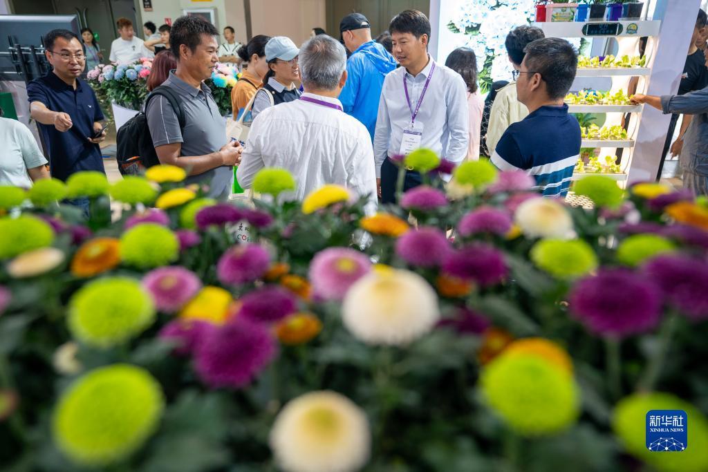 金陵唐人游